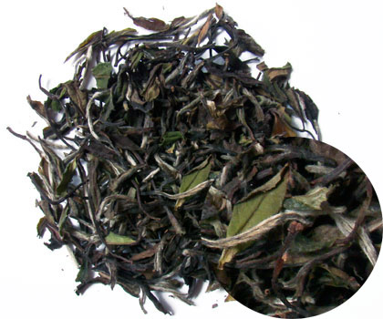 White Tea - White Peony - Bai Mudan